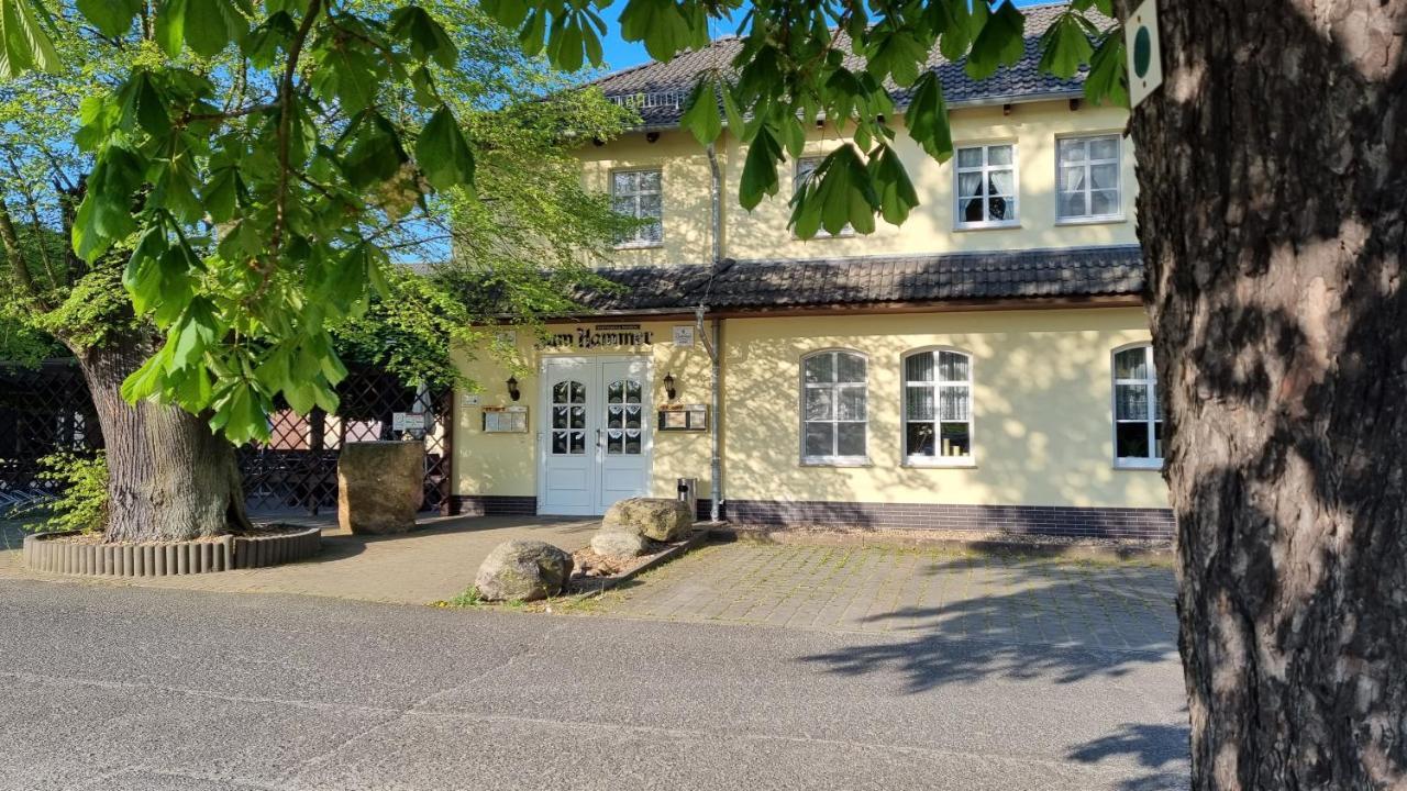 Wirtshaus & Pension "Zum Hammer" Neustadt  エクステリア 写真